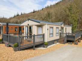 33 Woodpecker Lodge - Mid Wales - 1132427 - thumbnail photo 24