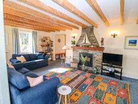 A living room with sofas, a rug, a fireplace, and a television at Whispering Pines in Durrus, County Cork