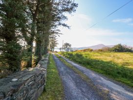 A rural path lined with trees and a stone wall at Whispering Pines in Durrus, County Cork