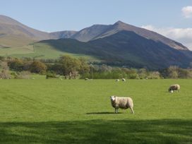 Canadian Cabin 37 - Lake District - 1132671 - thumbnail photo 35