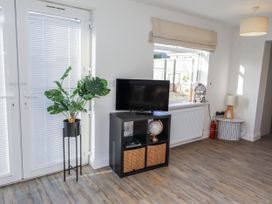 A living room with a television and a plant at Old Colliery Cottage in Shilbottle
