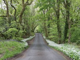 Daffodil Cottage - Lake District - 1132909 - thumbnail photo 25