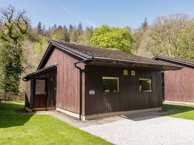 A lodge building surrounded by grass and trees at Beech Timber Lodge in Keswick