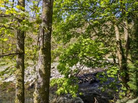 Trees and a river flowing through rocks at Beech Timber Lodge in Keswick