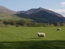 Garden Cottage No 2 - Lake District - 1132917 - thumbnail photo 34