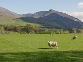 Greta House - Lake District - 1132920 - thumbnail photo 32