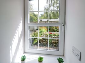 A window with succulents on the sill at Riverside Cottage No 4 in Keswick