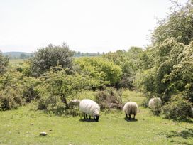 The Nest - Somerset & Wiltshire - 1133447 - thumbnail photo 25