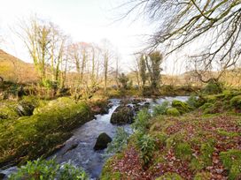 Pen y Bont - Mid Wales - 1134721 - thumbnail photo 34