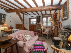 Hoarders Cottage - Mid Wales - 1134992 - thumbnail photo 6