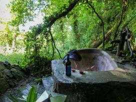 Humble Bee - Devon - 1135357 - thumbnail photo 2