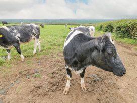 Cow Corner - North Yorkshire (incl. Whitby) - 1135440 - thumbnail photo 35