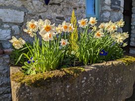 The Coach House - Lake District - 1135531 - thumbnail photo 24