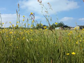 The Coach House - Lake District - 1135531 - thumbnail photo 34