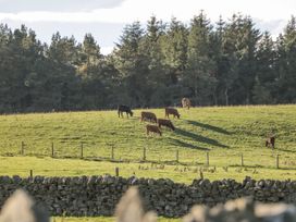 The Granary - Yorkshire Dales - 1135633 - thumbnail photo 18