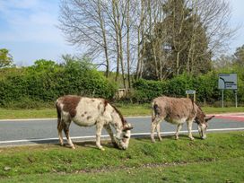 Billabong - Hampshire - 1135667 - thumbnail photo 15