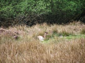 Billabong - Hampshire - 1135667 - thumbnail photo 16