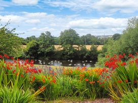 Herons - Herefordshire - 11363 - thumbnail photo 14