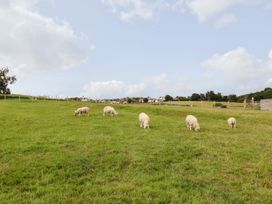 Tilly Bob Lodge - North Wales - 1136682 - thumbnail photo 28