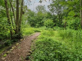 A pathway surrounded by trees and greenery at The Leveret in Eppleby