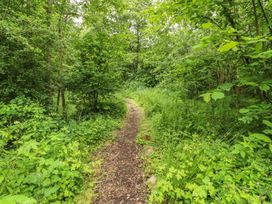 A path surrounded by greenery in a wooded area at The Leveret in Eppleby