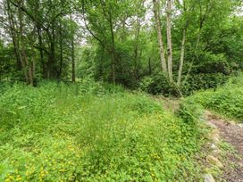 A woodland area with grass and flowers at The Leveret in Eppleby