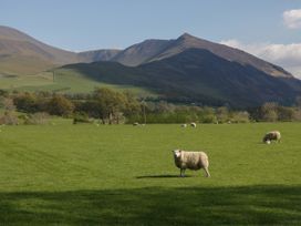 The Paddock - Lake District - 1137006 - thumbnail photo 51