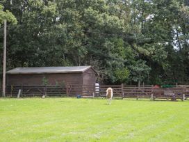 Lapwings - Hampshire - 1137078 - thumbnail photo 28
