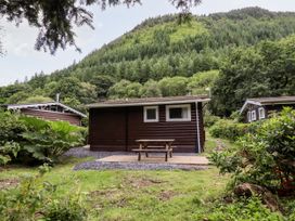 Chalet 2 - Mid Wales - 1137260 - thumbnail photo 19