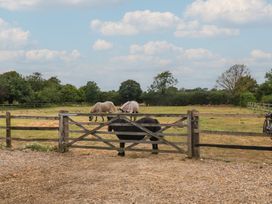 A field with horses behind a wooden gate at The Cow Shed in Chediston near Halesworth