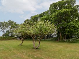 A garden with two trees and open grass at The Grange in Flamborough