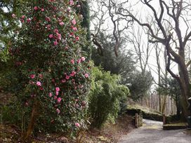 The Lodge - Lake District - 1138046 - thumbnail photo 39