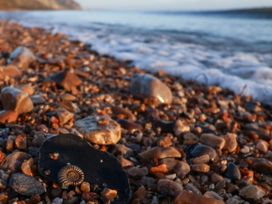 A close up of pebbles and a shell on a beach with the sea in the background at Woodstock in Chaffcombe near Chard