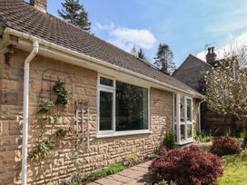 Exterior view of a stone house with a tiled roof plants along the wall and bushes in the garden at Woodstock in Chaffcombe near Chard