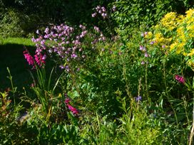 A garden with pink and yellow flowers and green plants at Woodstock in Chaffcombe near Chard