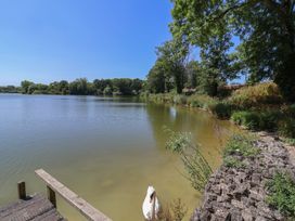 A lake with a swan near the dock at Woodstock in Chard