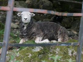 The Bothy - Lake District - 1138214 - thumbnail photo 29