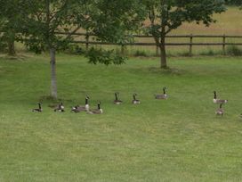 Walnut Cottage - Herefordshire - 1138325 - thumbnail photo 20