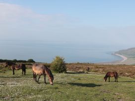 Hunstone Barn - Devon - 1138838 - thumbnail photo 29