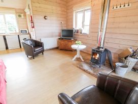 Curlew Lodge - Scottish Lowlands - 1139004 - thumbnail photo 5