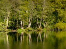 A body of water with trees and reflections at Heron in Shobdon