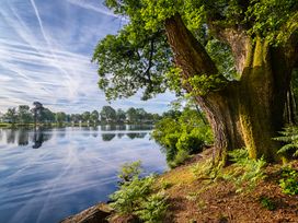 A lakeside view with trees and reflections at Heron in Shobdon
