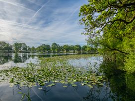 A lake with lily pads and trees at Heron in Shobdon