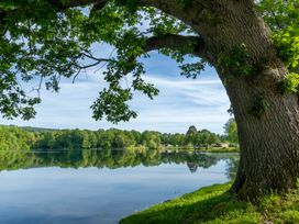 A view of a tree by a lake with reflections in the water at Heron in Shobdon