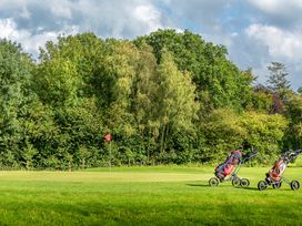 A golf course with carts and a flag at Heron in Shobdon