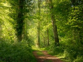 A path through trees in a wooded area at Heron in Shobdon