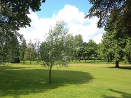 A green lawn with a small tree in the center surrounded by various trees under a blue sky with clouds at Owl in Shobdon