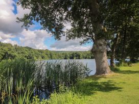 A lake with tall grass and large trees on the shore at Owl in Shobdon