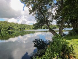 A lake surrounded by trees with plants and grass at the edge at Owl in Shobdon