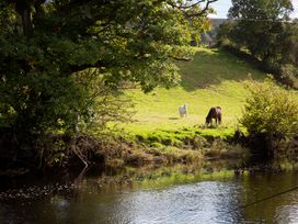 A landscape with two cows grazing near a river at Felin Gogoyan Tregaron